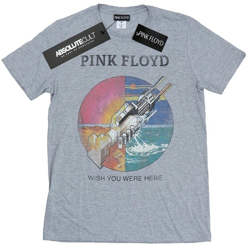 textil Niña Camisetas manga larga Pink Floyd Wish You Were Here Gris