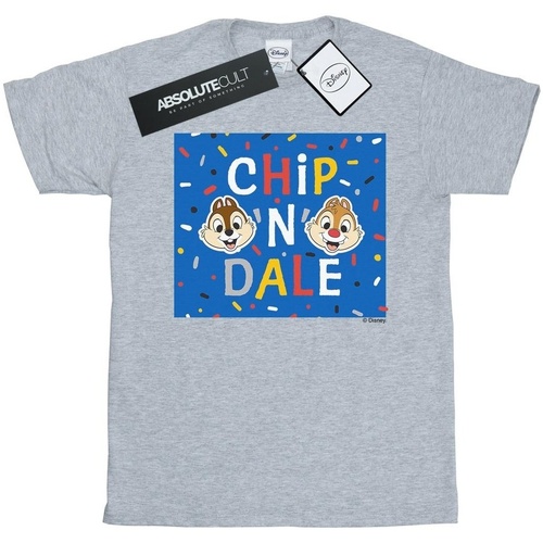 textil Hombre Camisetas manga larga Disney Chip N Dale Blue Frame Gris