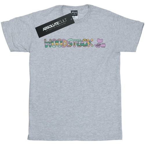 textil Niña Camisetas manga larga Woodstock Aztec Logo Gris