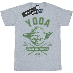 textil Niño Camisetas manga corta Disney Yoda Collegiate Gris