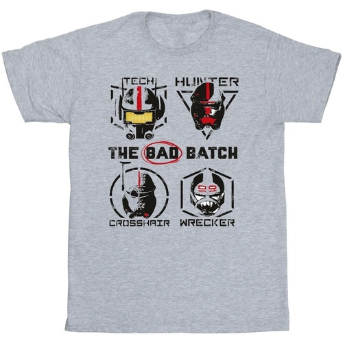 textil Niña Camisetas manga larga Star Wars: Bad Batch Clone Force 99 Gris