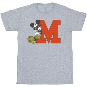 textil Hombre Camisetas manga larga Disney Mickey Mouse Leopard Trousers Gris