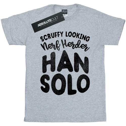 textil Niño Camisetas manga corta Disney Han Solo Legends Tribute Gris