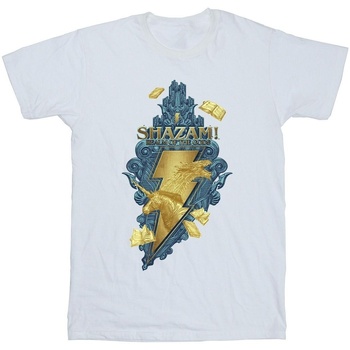 textil Niña Camisetas manga larga Dc Comics Shazam Fury Of The Gods Golden Animal Bolt Blanco