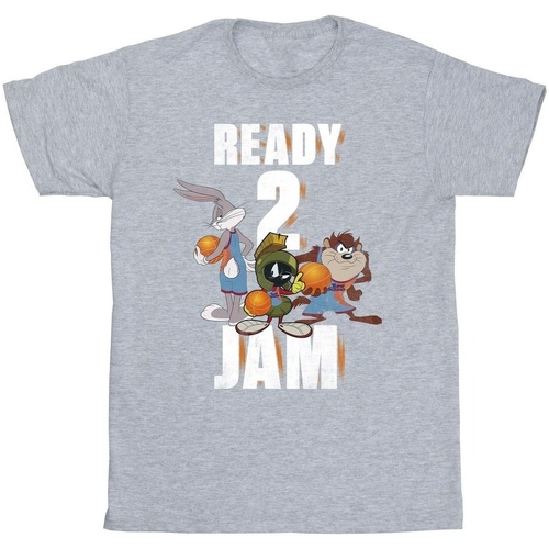 textil Niña Camisetas manga larga Space Jam: A New Legacy Ready 2 Jam Gris