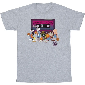 textil Niña Camisetas manga larga Space Jam: A New Legacy Team Cassette Gris
