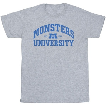 textil Hombre Camisetas manga larga Disney Monsters University Logo Gris