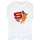 textil Mujer Camisetas manga larga Dc Comics Shazam Fury Of The Gods Sticker Spam Blanco