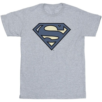 textil Niña Camisetas manga larga Dc Comics Superman Indigo Blue Logo Gris