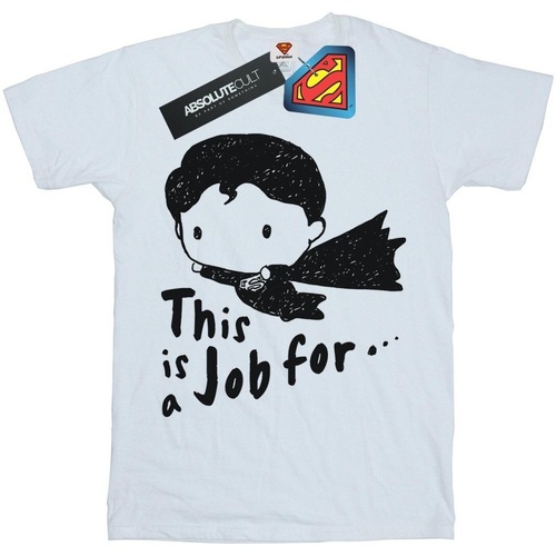 textil Niña Camisetas manga larga Dc Comics Superman This Is A Job For Sketch Blanco