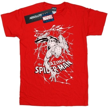 textil Hombre Camisetas manga larga Marvel Spider-Man Web Crawler Rojo