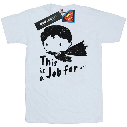 textil Mujer Camisetas manga larga Dc Comics Superman This Is A Job For Sketch Blanco