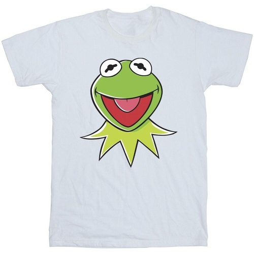textil Hombre Camisetas manga larga Disney Muppets Kermit Head Blanco