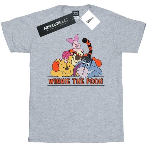 textil Niño Camisetas manga corta Disney Winnie The Pooh Group Gris