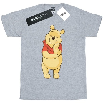 textil Niño Camisetas manga corta Disney Winnie The Pooh Cute Gris