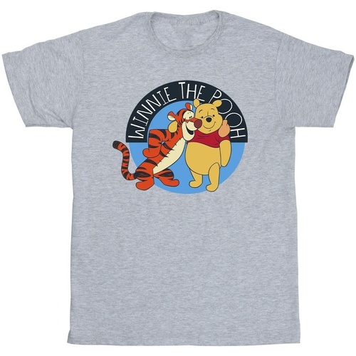 textil Niño Camisetas manga corta Disney Winnie The Pooh With Tigger Gris