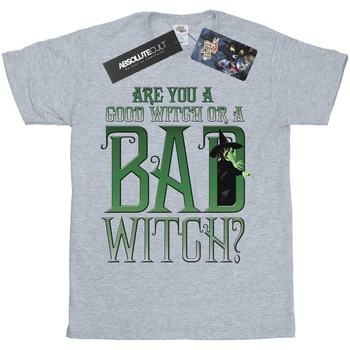 textil Niño Camisetas manga corta The Wizard Of Oz Good Witch Bad Witch Gris