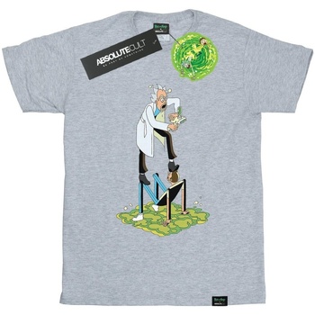 textil Hombre Camisetas manga larga Rick And Morty BI51774 Gris