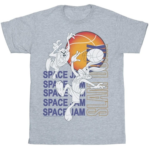 textil Hombre Camisetas manga larga Space Jam: A New Legacy Slam Dunk Alt Gris
