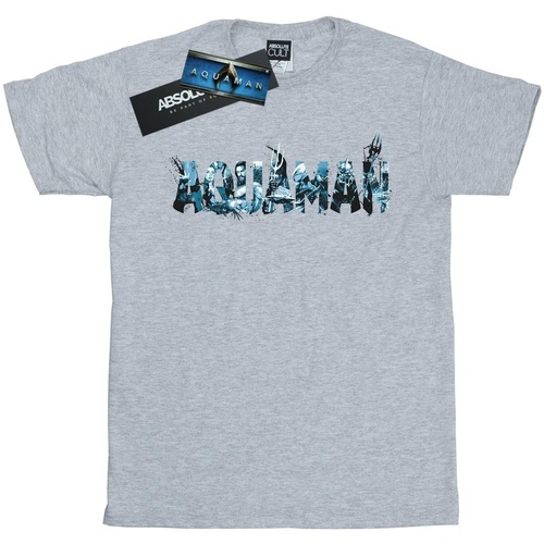 textil Mujer Camisetas manga larga Dc Comics Aquaman Text Logo Gris