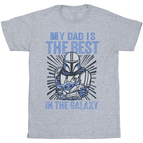 textil Hombre Camisetas manga larga Disney Mandalorian Best Dad Gris