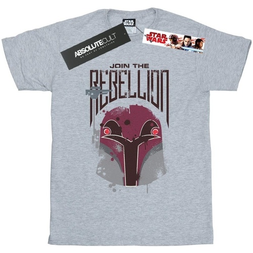 textil Hombre Camisetas manga larga Disney Rebels Rebellion Gris