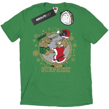 textil Hombre Camisetas manga larga Dessins Animés Christmas Surprise Verde