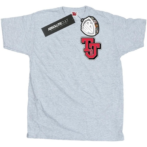 textil Hombre Camisetas manga larga Dessins Animés Collegiate Logo Gris