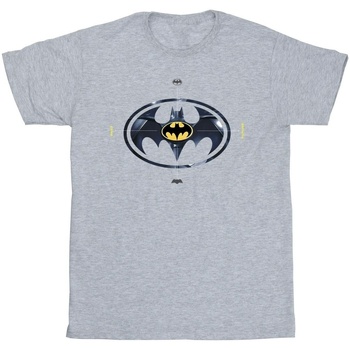 textil Hombre Camisetas manga larga Dc Comics The Flash Batman Metal Logo Gris