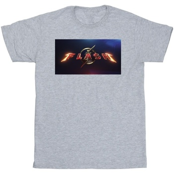 textil Hombre Camisetas manga larga Dc Comics The Flash Movie Logo Gris