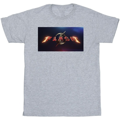 textil Hombre Camisetas manga larga Dc Comics The Flash Movie Logo Gris