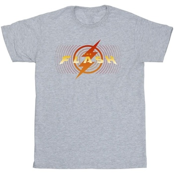 textil Hombre Camisetas manga larga Dc Comics The Flash Red Lightning Gris