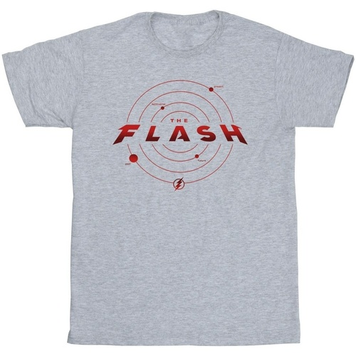 textil Hombre Camisetas manga larga Dc Comics The Flash Multiverse Rings Gris