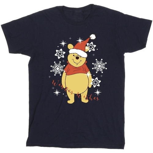textil Hombre Camisetas manga larga Disney Winnie The Pooh Winter Wishes Azul