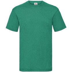 textil Hombre Camisetas manga larga Fruit Of The Loom Valueweight Verde
