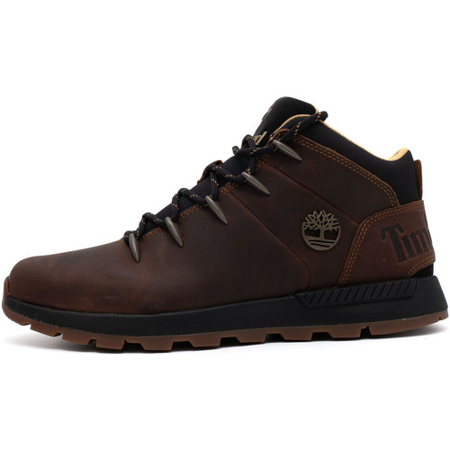 Zapatos Hombre Botas Timberland Mid Lace Up Sneaker Marrón