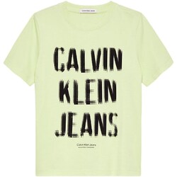 textil Niño Camisetas manga larga Calvin Klein Jeans IB0IB01974 Verde