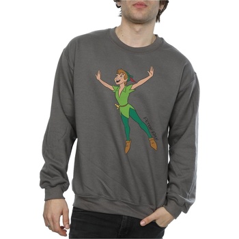 textil Hombre Sudaderas Disney Classic Flying Peter Pan Multicolor