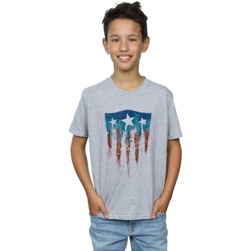 textil Niño Camisetas manga corta Marvel Captain America Flag Shield Gris