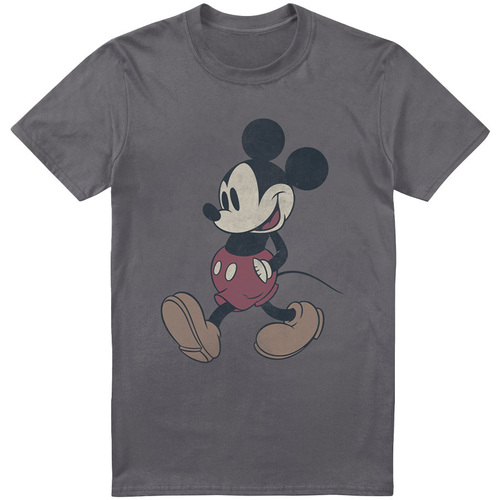textil Hombre Camisetas manga larga Mickey Mouse And Friends Wander Multicolor