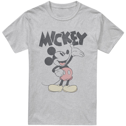 textil Hombre Camisetas manga larga Mickey Mouse And Friends Washout Gris
