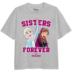 textil Niña Camisetas manga larga Disney Sisters Forever Gris