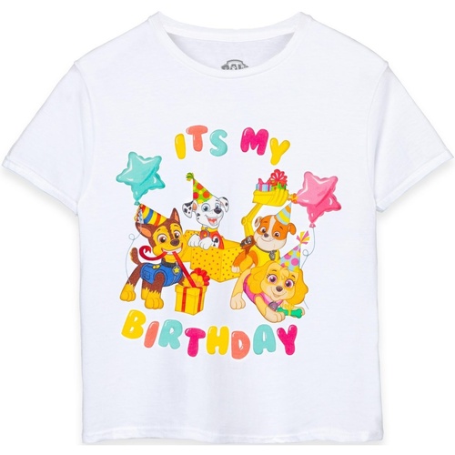 textil Niños Camisetas manga corta Paw Patrol It's My Birthday Blanco