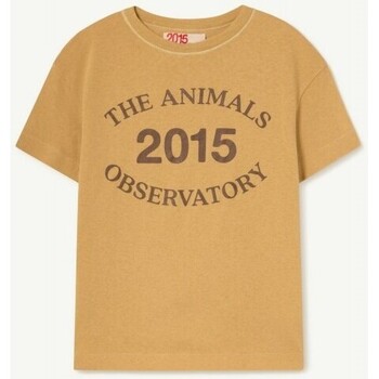 textil Niños Tops y Camisetas The Animals Observatory F22156_FZ Beige