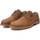 Zapatos Hombre Derbie & Richelieu Xti 14252803 Marrón