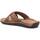 Zapatos Hombre Sandalias Refresh 17167203 Marrón