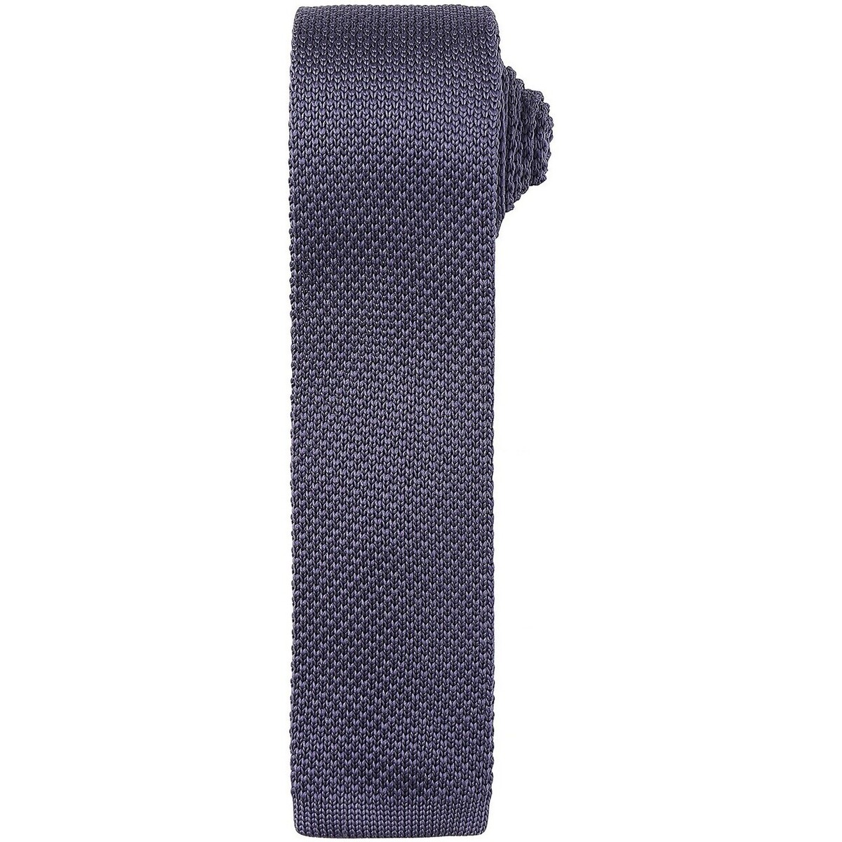 textil Corbatas y accesorios Premier PR789 Gris