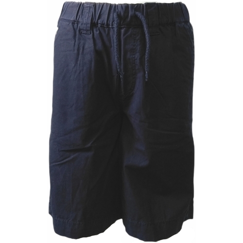 textil Niño Shorts / Bermudas Lacoste FJ1463 Azul