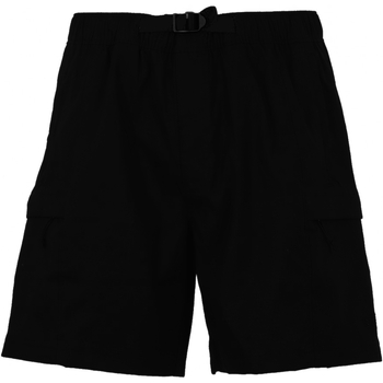 textil Hombre Shorts / Bermudas The North Face NF0A55V8 Negro