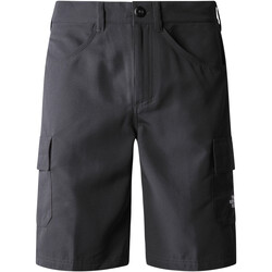 textil Hombre Shorts / Bermudas The North Face NF0A824D Gris